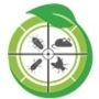 Termite Pest Control Jubilee Hills