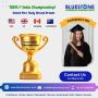 BLUESTONE OVERSEAS CONSULTANTS