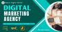 Stech DIgital World - Digital Marketing Agency