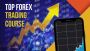Top Forex Trading Courses by step traders