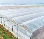 Premium Agricultural Products from Stipl Agritech