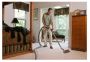 Streamline Carpet Cleaning - Affordable Carpet Cleaning
