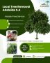 Local Tree Removal Adelaide S.A.