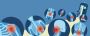 Expert Orthopedic in Faridabad
