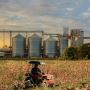 🚀 Complete Solutions for Fertilizer Plants – Trusted & Affo