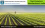 Protect Your Plants with Our High-Quality Plant Protectors -