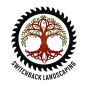 Efficient Forestry Mulching Services by Switchback Landscapi