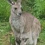 Travel Private Sydney tours - Ideology ph 1300 872 843