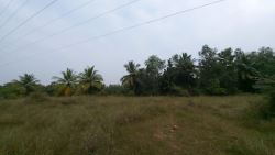 SDN FARMS PLOTS FOR SALE AT KILOY VILLAGE