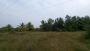 SDN FARMS PLOTS FOR SALE AT KILOY VILLAGE