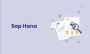 SAP HANA Training Institute in Gurgaon SAP HANA Training Institute in Gurgaon