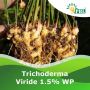 Trichoderma Viride – Natural Bio-Fungicide by Peptech Biosci