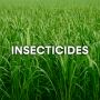 Best Quality of Insecticides – Protect Crops from Pests Fast