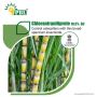 A CIBRC-registered product