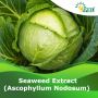 Peptech Biosciences Seaweed Extract — Natural Biostimulant