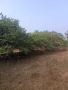 •	DTCP AND RARA APPROVED PLOTS FOR SALE AT VEPPAMBAATTU