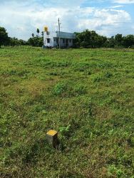 DTCP AND RARA APPROVED PLOTS FOR SALE AT VEPPAMPATTU
