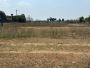 Dtcp approved plots for sale at egattur in  installment 