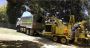 Best Tree Services in Sydney