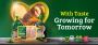 Premium Halal Chicken Breast - Tender & Fresh