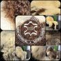 Natural sheepskins "High quality!"