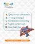 Best Liver Specialist in Hyderabad – Magnaid Hospitals, Yous