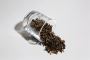 Oriental Beauty Oolong: Elegance in Every Leaf