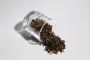 Alishan Jinxuan Oolong Tea – Smooth, Floral, and Creamy Taiw Alishan Jinxuan Oolong Tea – Smooth, Floral, and Creamy Taiw