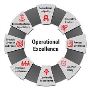 What Is the Role of Operational Excellence?