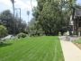 Tree Removal Houston Tx - Texastreeexpert.com Tree Removal Houston Tx - Texastreeexpert.com