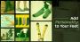  Get 5% Discount on Organic Cotton Socks -Order Now