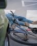 Long Beach Pedestrian Accident Lawyer