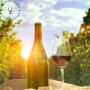 Experience the Pinnacle of Long Island Wine Tours