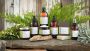 Buy Desert Sage Skincare – Nourishing Essentials for Your Ro