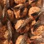 Frozen Jumbo Shrimp Shipped at Unbeatable Prices