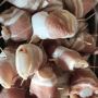Seafood Lovers! Order Fresh Shellfish Online Today
