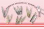 Best Volume Tweezers for Lash Extensions, Arlington, TX Best Volume Tweezers for Lash Extensions, Arlington, TX