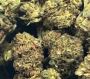 Thca Flower Ounce Cheap