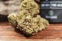 Buy Cbd Products Wholesale Buy Cbd Products Wholesale