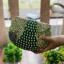  Themaresse Metallic Silver Clutch: Handcrafted Elegance in 