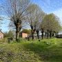 Expert Tree Surgeon in Stafford – Safe, Skilled & Affordable