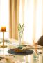 Handcrafted Glass & Wood Vase | Rustic Elegance