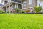 Kikuyu Grass Adelaide
