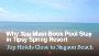 Why You Must Book Pool Stay in Tipsy Spring Resort