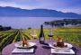 Unique wine tours in Kelowna