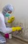 Get Mold Remediation and Mold Removal Services