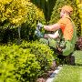 In Sydney stump grinding by Tony Saunders In Sydney stump grinding by Tony Saunders