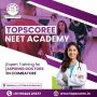 Struggling to Crack NEET? What Are You Missing?