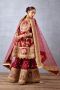 Designer Sharara Sets - Elegant Torani Collection