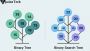 Binary Tree vs Binary Search Tree: Detailed Roadmap for Codi